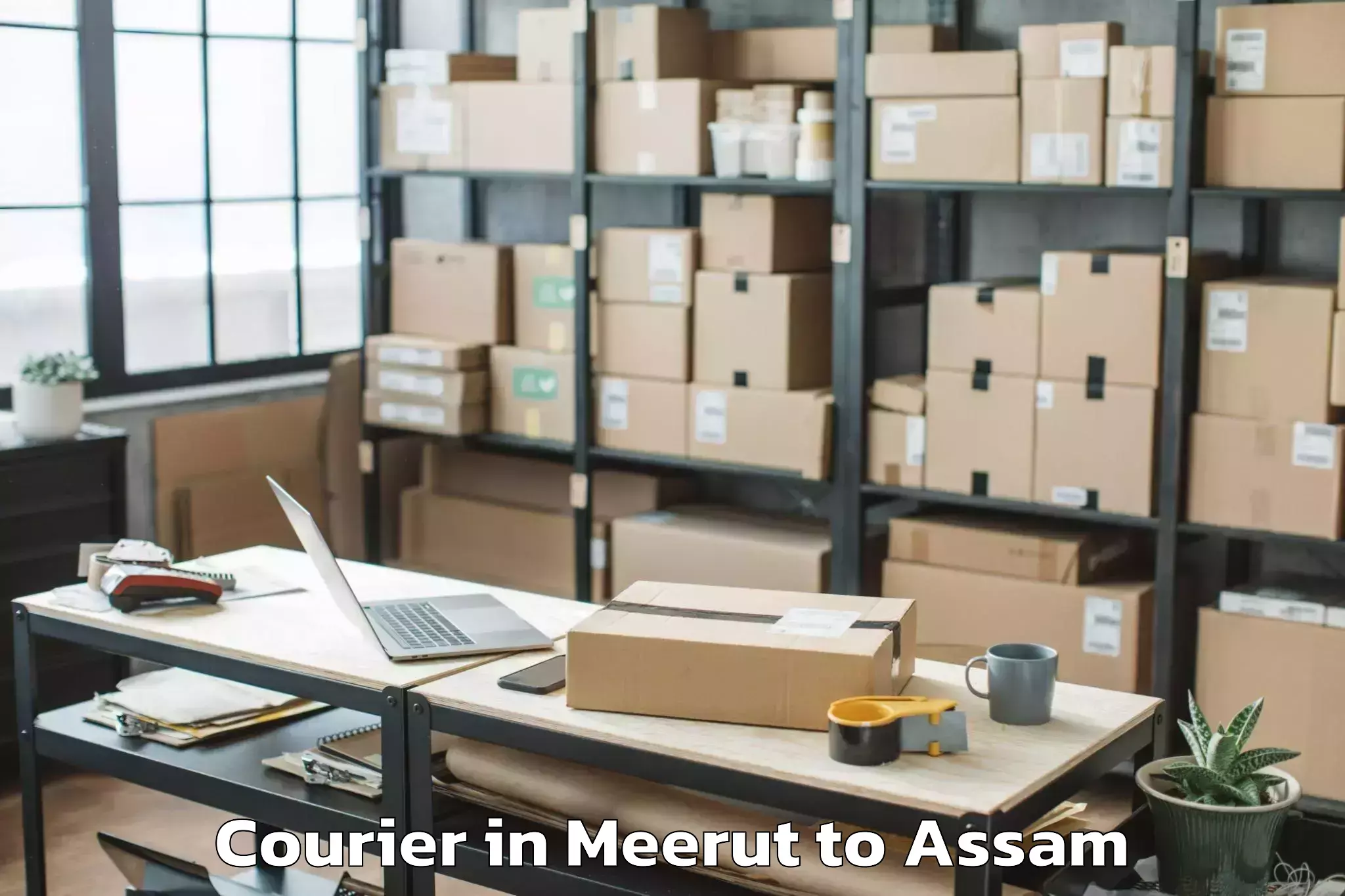 Leading Meerut to Dhing Courier Provider